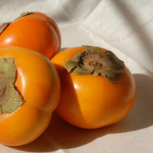 kaki