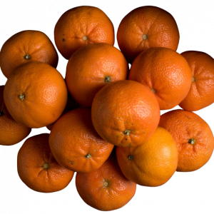 mandarinas murina
