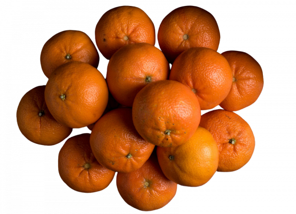mandarinas murina