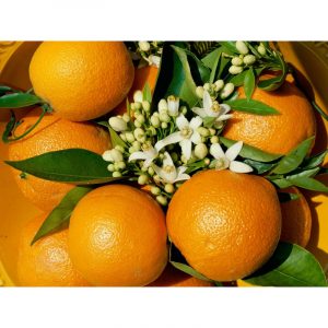 naranja de mesa